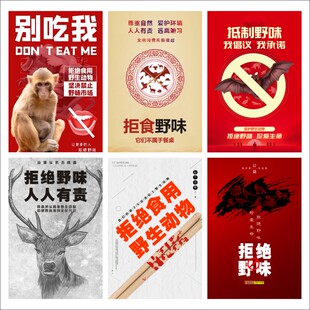 珍爱生命拒食禁食野味墙贴纸保护野生动物预防病毒公益海报标语