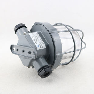 海星船用白炽舱吸顶灯CCD9-2-2防水甲板舱室照明灯220V60W/8W明绿