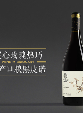 【高性价比黑皮诺】宁夏长和翡翠黑皮诺干红葡萄酒 750ml 2022年