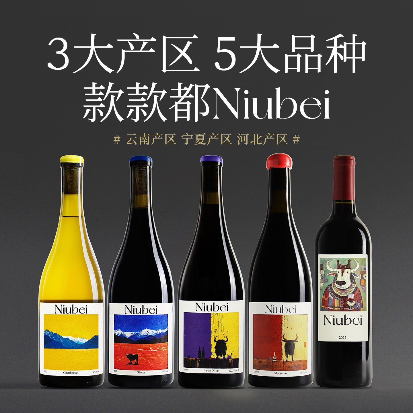 【Niubei套装来啦～】