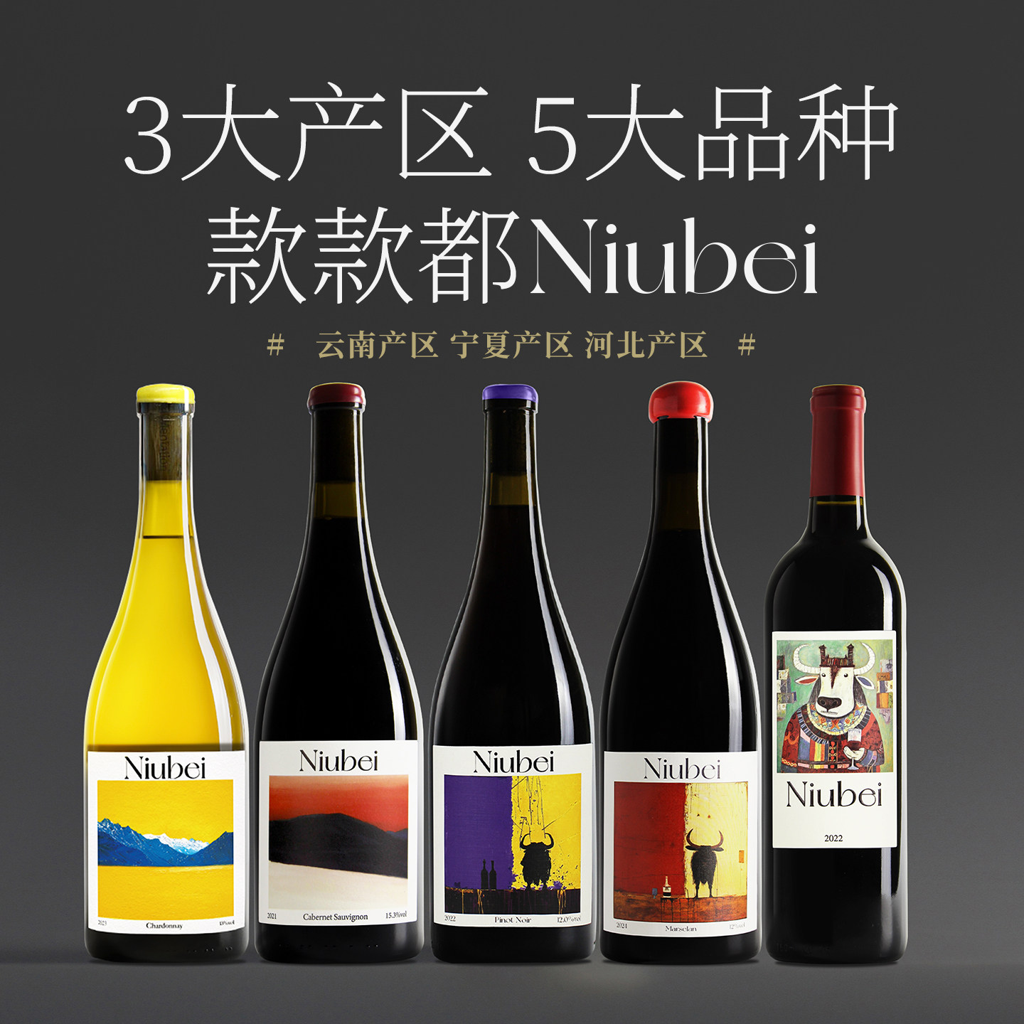 【Niubei套装来啦~】