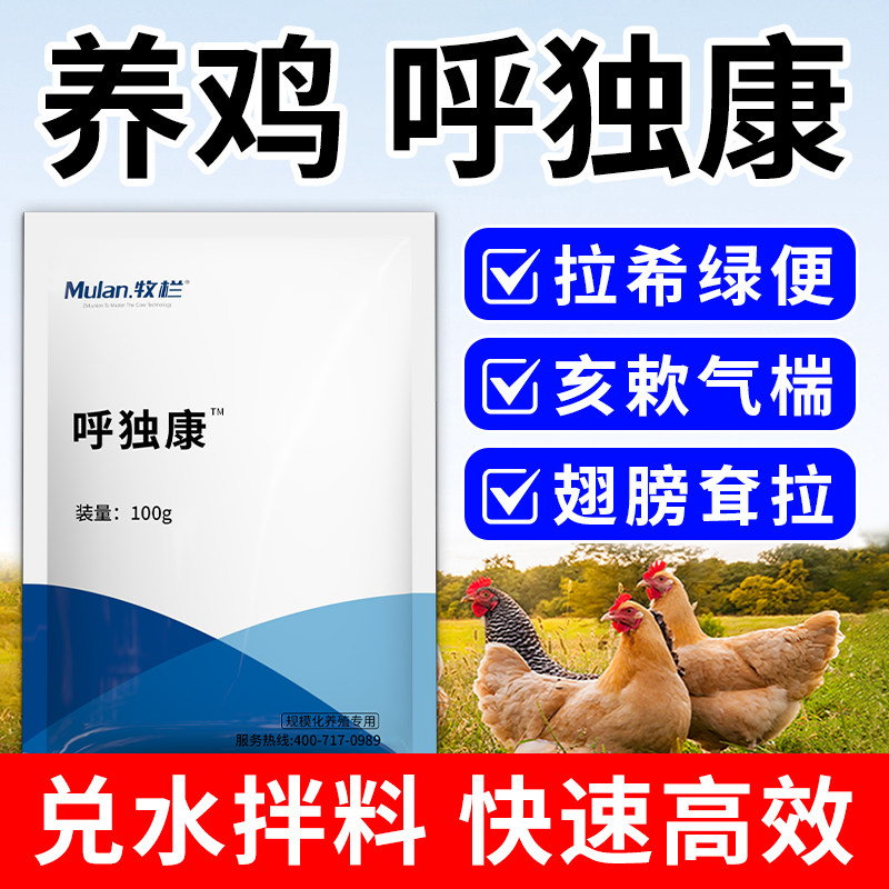 呼独康鸡用鸡不爱吃食呆立翅膀耷拉鸡鸭鹅专用饲料添加剂