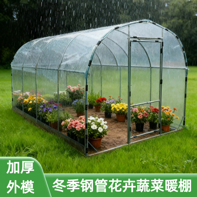 农村院子阳光棚围布蔬菜保温棚保暖养殖食用菌室防冻罩过冬保温棚