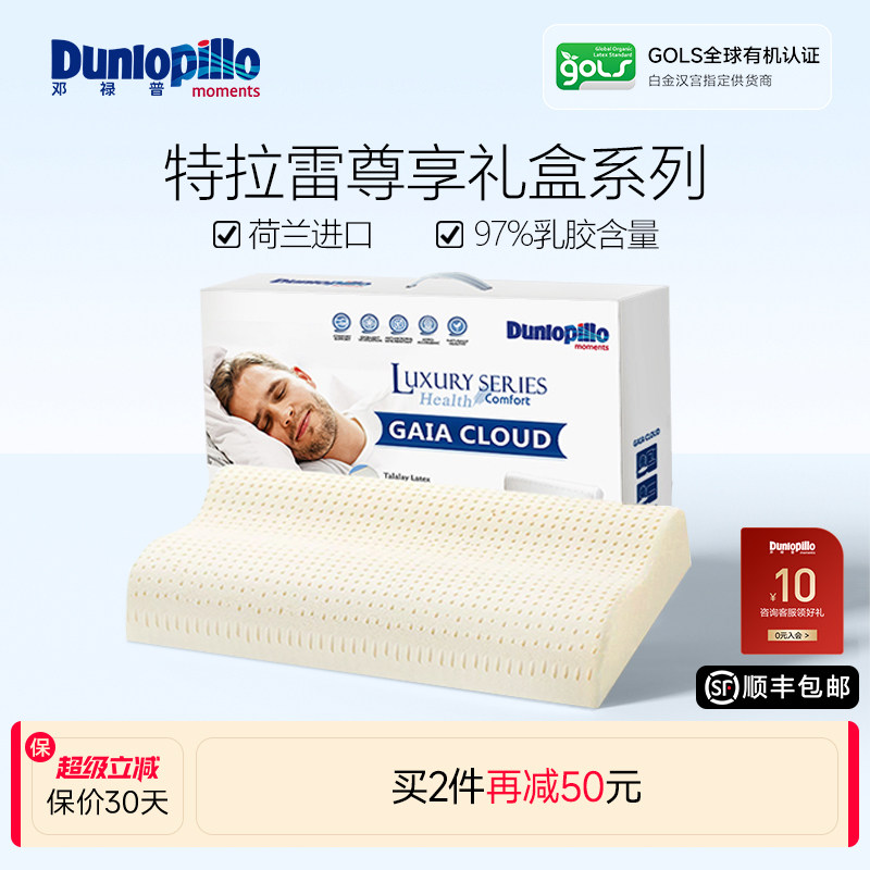 邓禄普特拉雷荷兰波浪枕图片
