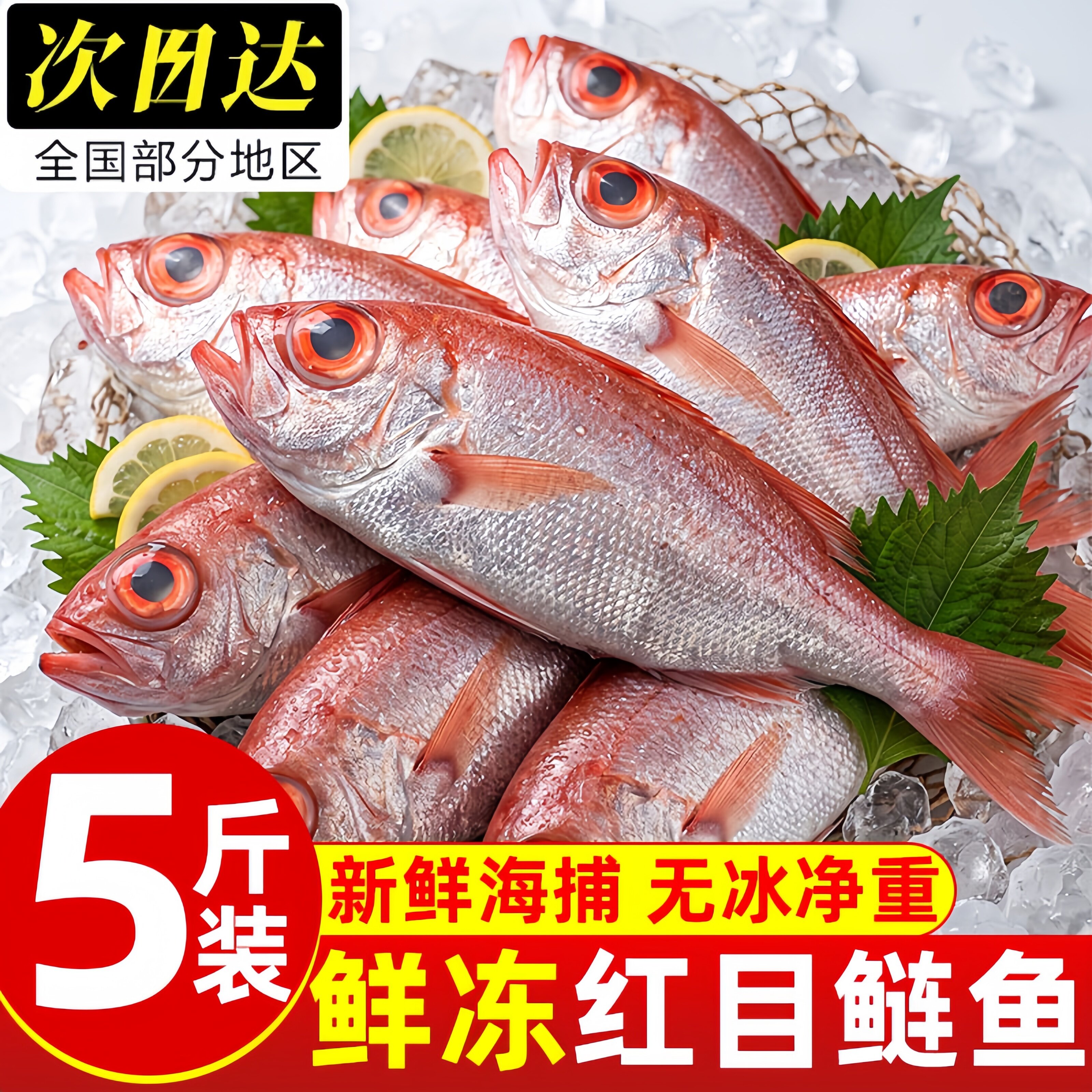 北海海捕鲜冻红大眼鱼