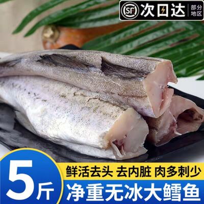 冷冻无头去内脏整箱明太鱼