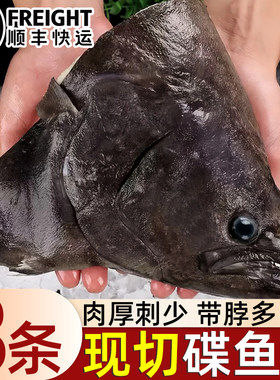 碟鱼头冷冻商用批发深海鲽鱼头