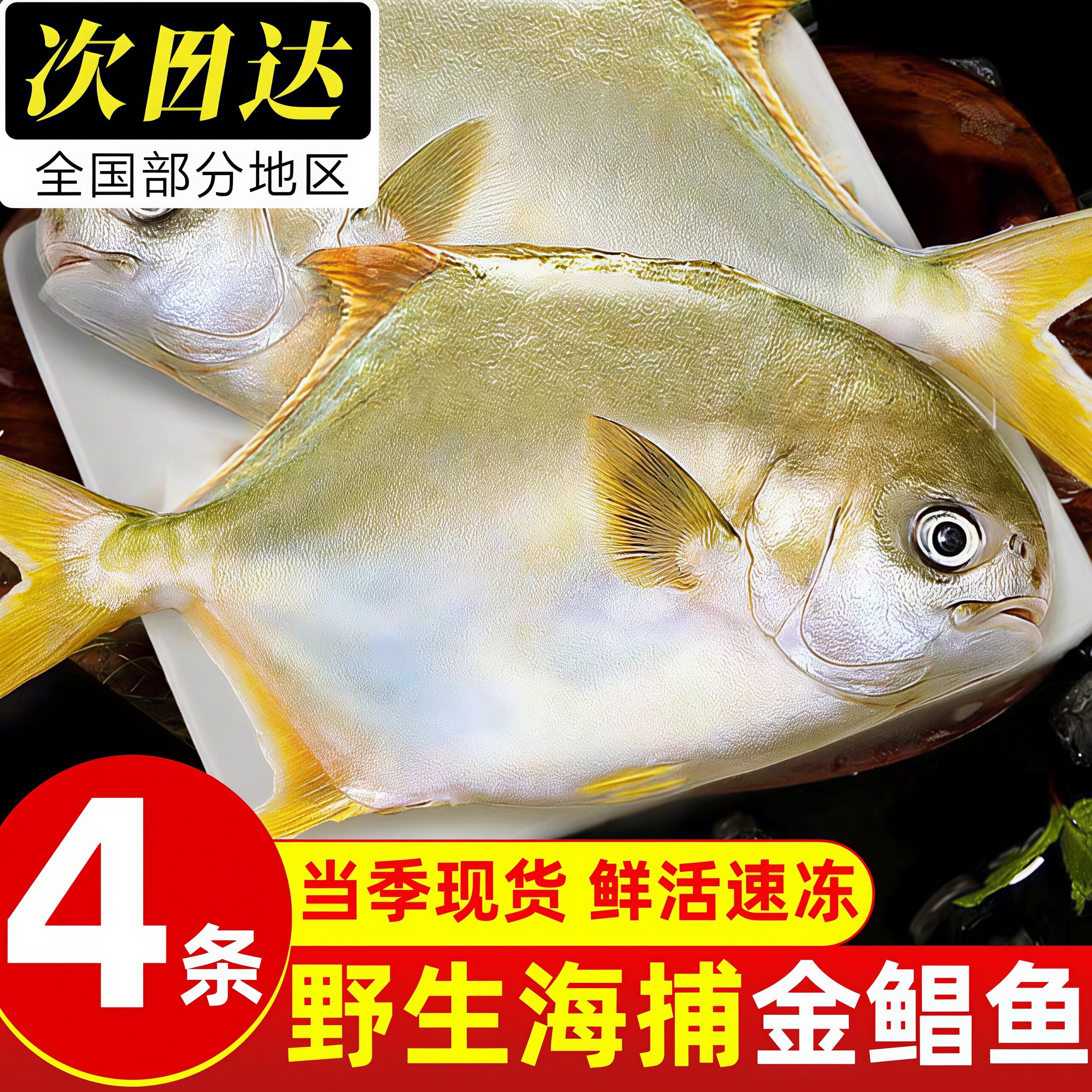 深海海捕鲜冻大号金鲳鱼