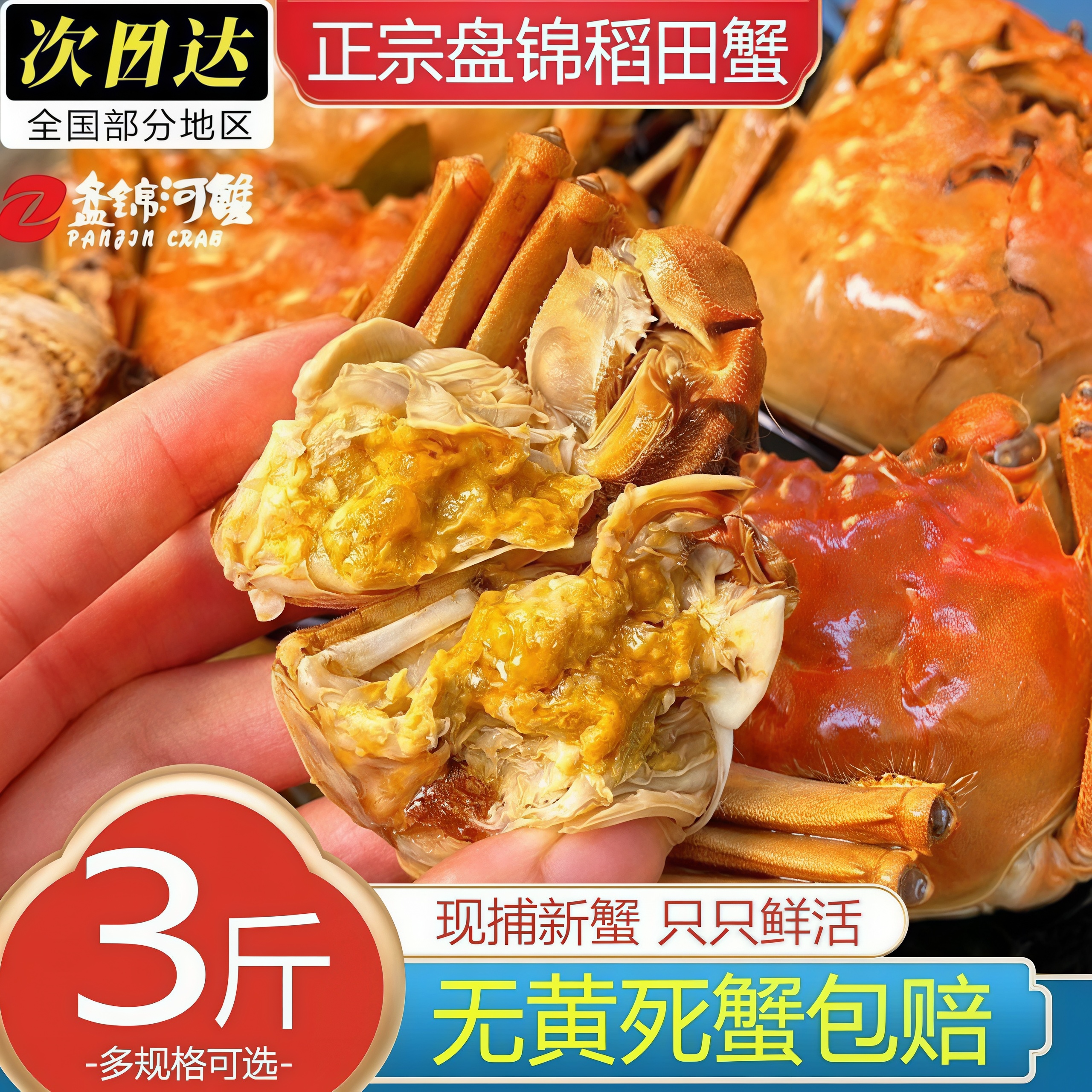 盘锦中华绒螯蟹大闸蟹3斤礼盒