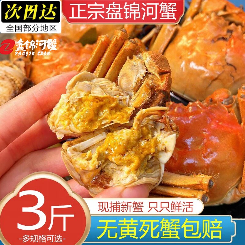 盘锦六月黄大闸蟹3斤礼盒