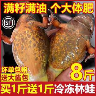 东北林蛙鲜活母豹子满籽母蛤蟆东北特产公母林蛙雪蛤活蛙速冻发货