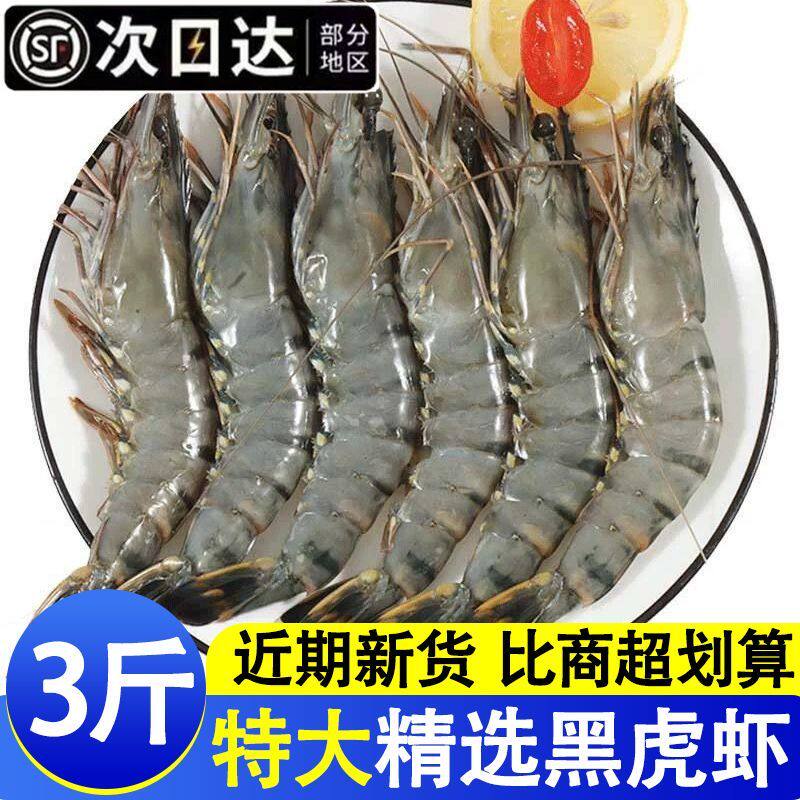 黑虎虾鲜活超大速冻斑节虾大号老虎虾海鲜水产大虾冷冻九节虾海虾