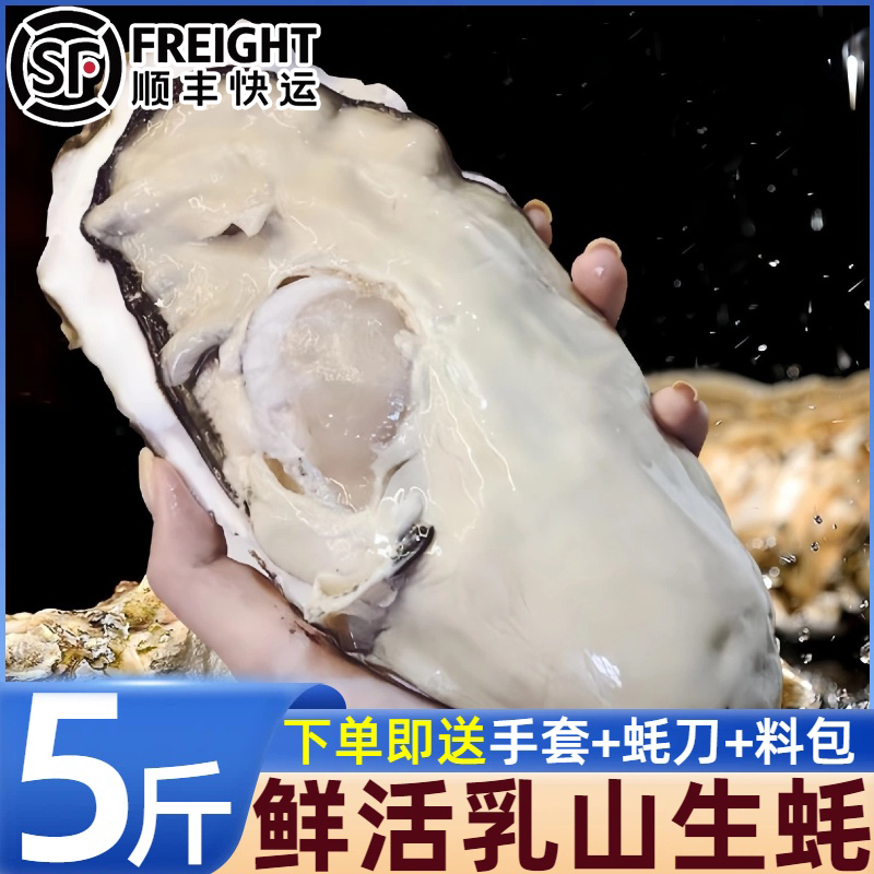 山东乳山生蚝大号新鲜海鲜