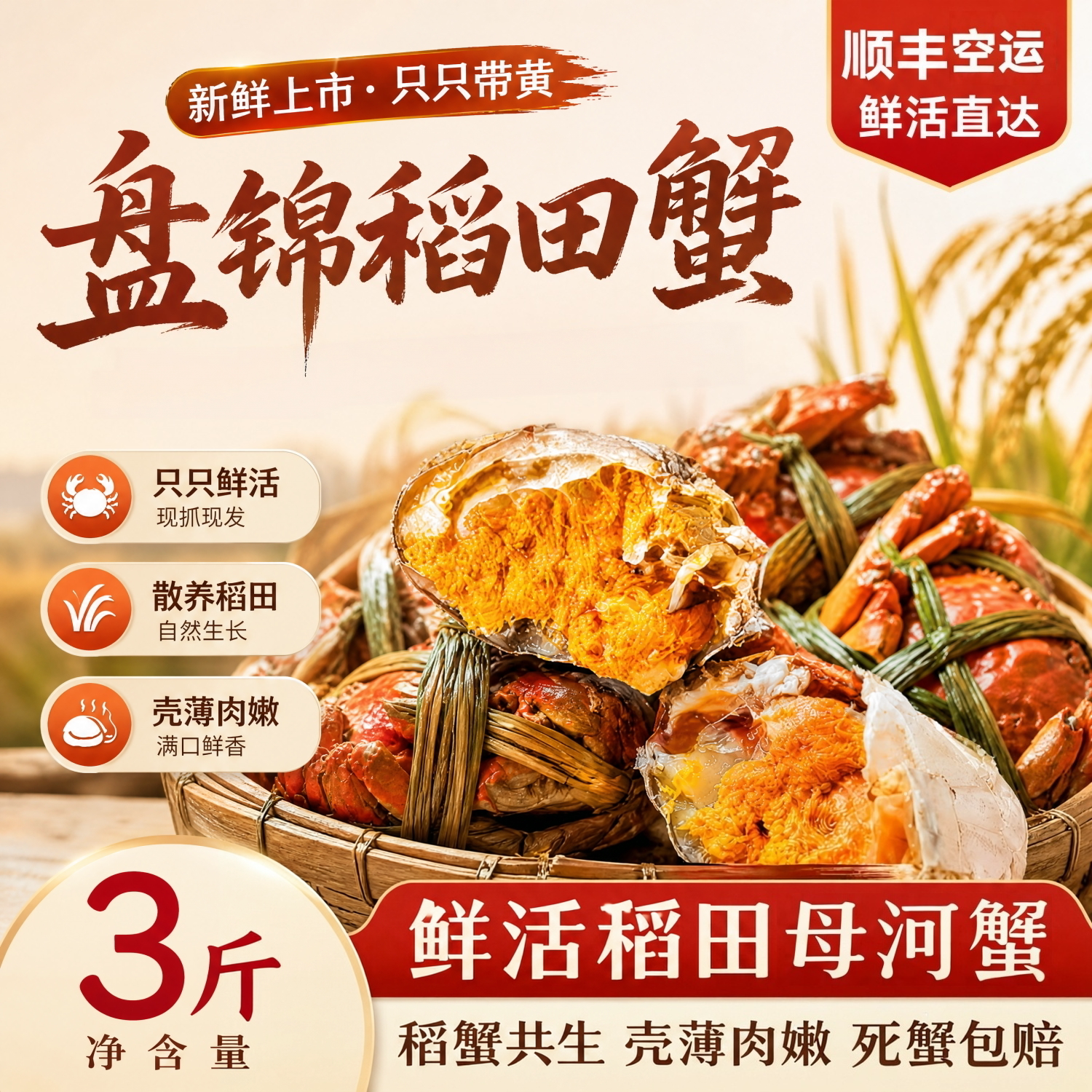 顺丰包邮盘锦鲜活全公大闸蟹