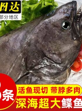 鲽鱼头深海新鲜鸦片鱼头新鲜冷冻
