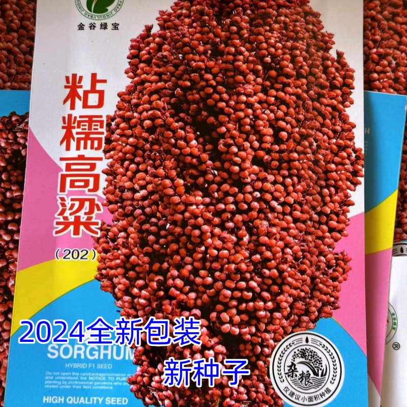 笤帚种子甜高粱北方甘蔗酿酒牧草