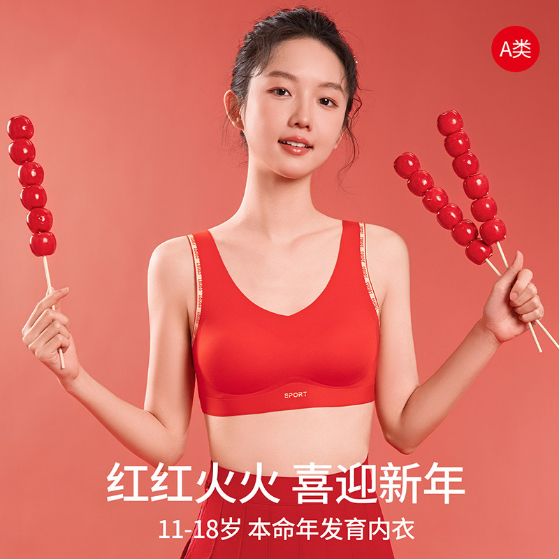 红色礼盒女童本命年内衣内裤套装