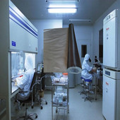 学校实验室超净工作台专用遮挡布防紫外线灯遮挡布防辐射布消毒灯