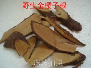 福建深山野生金樱子根/倒挂金钩/刺头/山鸡头子500g