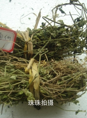 纯野生爵床草/六角仙/六角英/野万年青 中药材 晒干1斤包邮