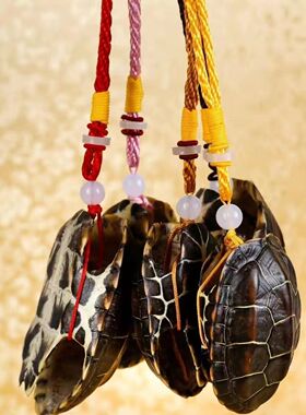 天然真龟壳金线龟甲文玩龟壳手把件摆件完整六爻工具富甲天下干净