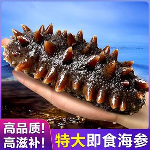 即食海参2斤 5斤开袋即食鲜活冷冻顺丰每个独立装