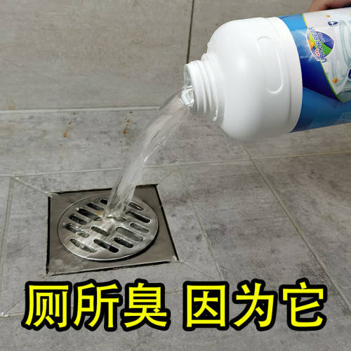 下水道卫生间反味神器芳香除臭剂
