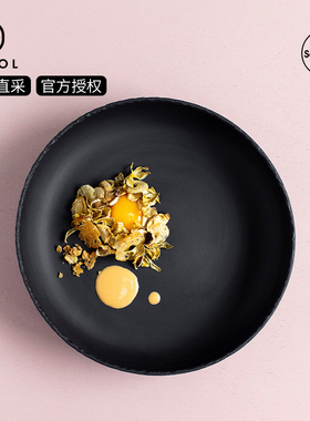法国进口Revol黑色陶瓷盘子深盘家用复古板岩圆形餐盘汤盘菜盘