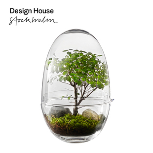 瑞典Design 绿植物展示盒防尘 House玻璃罩微景观生态瓶摆件透明