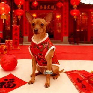 小鹿犬专用衣服冬装2025新款小型犬冬服装小棉衣小狗狗东北大花袄