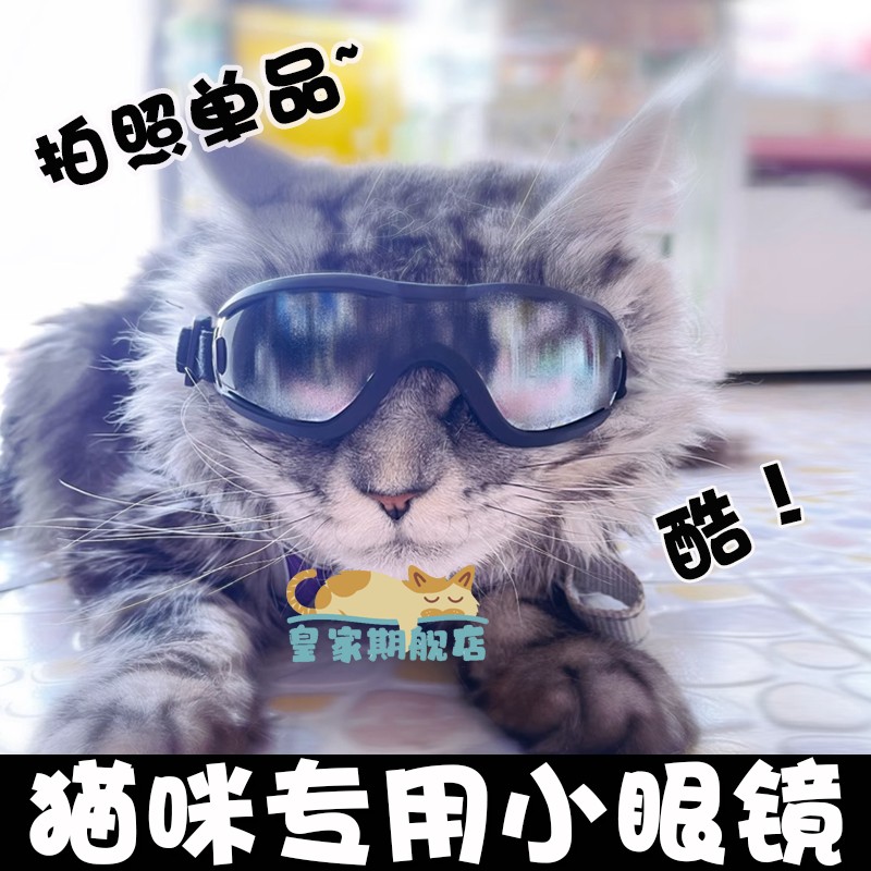 猫咪专用眼镜猫墨镜宠物护目镜骑行防风镜缅因猫公猫帅气拍摄道具