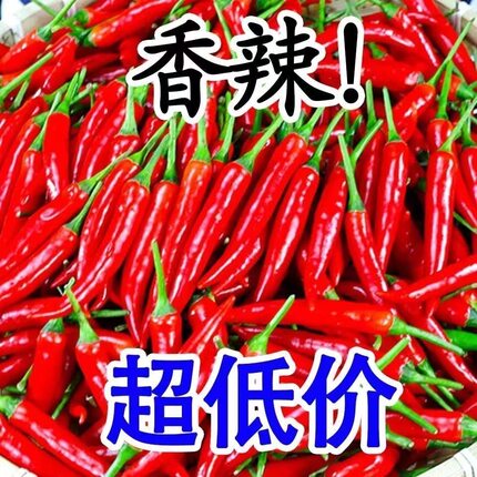 新鲜小米椒特辣小米辣现摘朝天椒红辣椒指天椒泡椒红辣椒产地直发