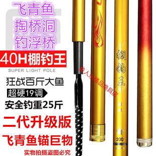 棚钓王二代超硬40H巨物竿掏桥洞暴力飞青草鲟鱼黑坑飞抄青鱼锚竿