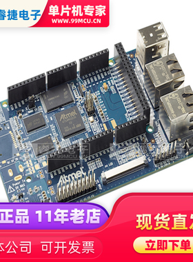 ATSAMA5D3-XPLD BRD XPLAINED SAMA5D36 EVAL BRD 嵌入式评估板