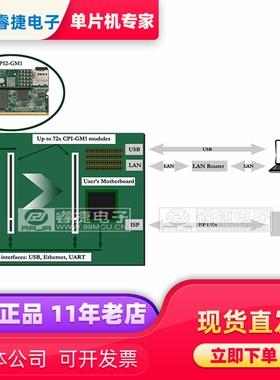 Customizable ISP CPI2-GM1编程模块 Phyton CPI2 Gx gang编程