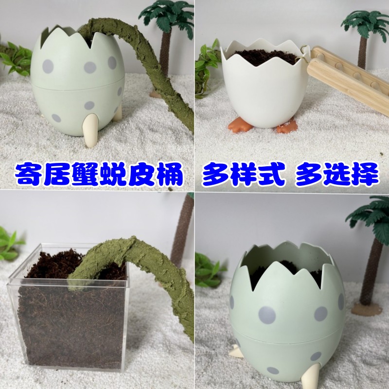 寄居蟹蜕皮桶隔离饲养盒套装多尺寸活体宠物专用