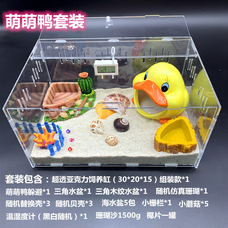 寄居蟹新手儿童套装饲养箱饲养缸