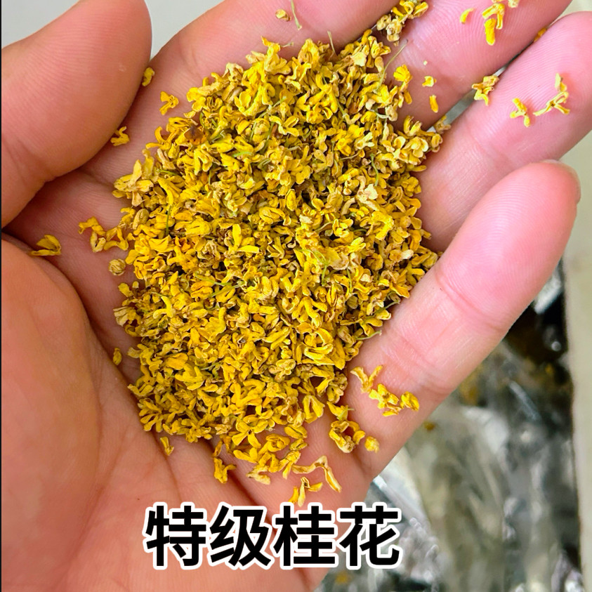 出售2025年散装新鲜湿桂花泡桂花
