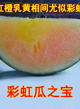 农家黄瓤籽种冬季特色彩虹西瓜