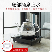 金为全自动底部上水18*25电热烧水壶玻璃不锈钢单炉泡茶专用茶炉