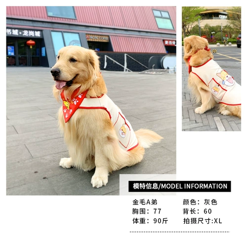 Ничего у вас, Mo Dai Golden Mao, средняя большая собачья одея