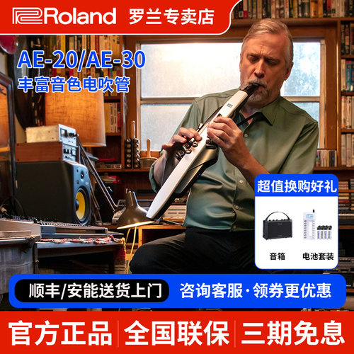 罗兰电吹管初学者ae20