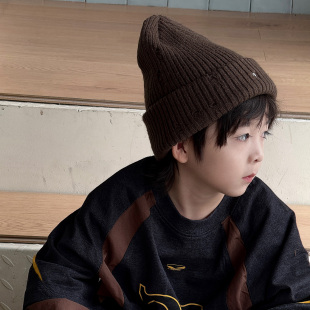 2025新款儿童帽子秋冬男童毛线帽秋冬针织帽中大童男孩保暖护耳帽