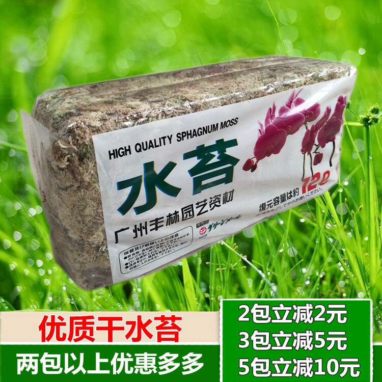 多肉水苔价格 多肉水苔图片 星期三