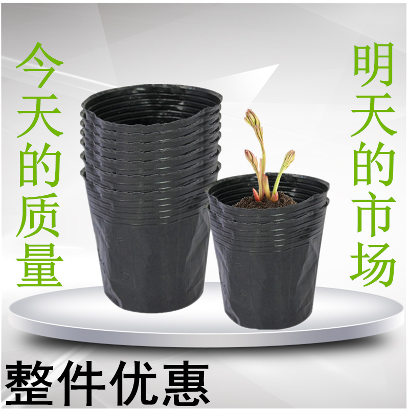 营养杯育苗杯一次性黑色塑料营养钵大号种植果苗育苗营养袋育苗盆 Изображение 1 营养杯育苗杯一次性黑色塑料营养钵大号种植果苗育苗营养袋育苗盆 Изображение 1