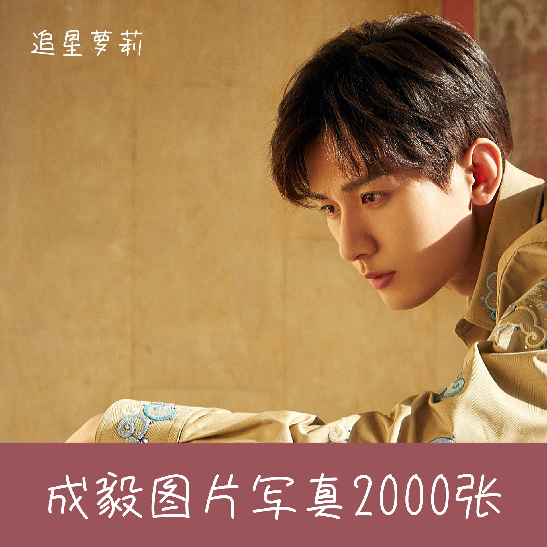 【电子版】成毅图片写真明星周边海报照片壁纸3000张图集绘画素材