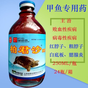 首爱柏君沙治甲鱼病毒性败血出血病粗脖子红底板爬坡症摇头呛水症