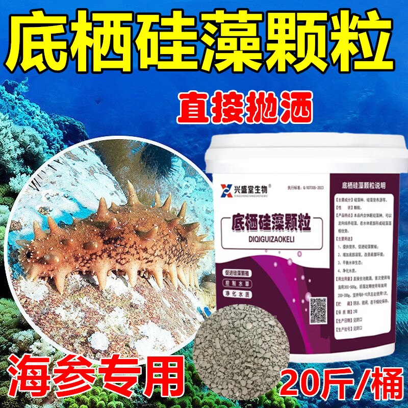 底栖硅藻颗粒海参专用硅藻旺水产养殖定向培养底栖硅藻藻种硅藻源