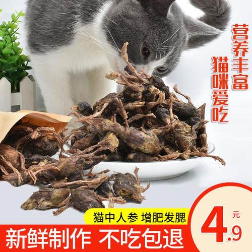 养只宠物(YOUNGER PET)冻干鹌鹑宠物猫咪零食营养增肥狗猫零食鹌