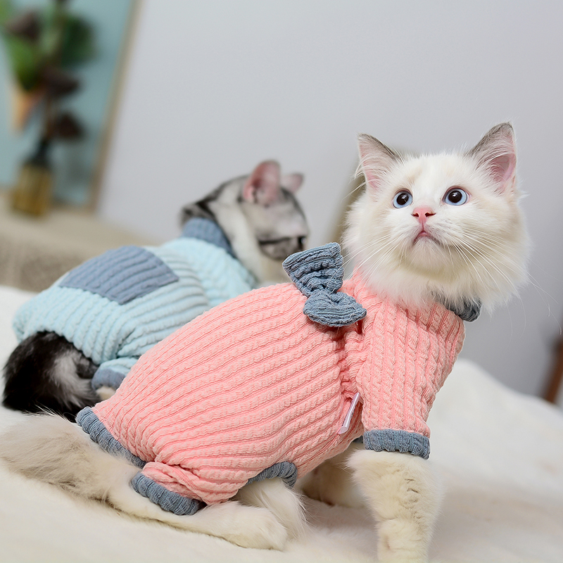 MOMO宠物猫衣服打底小猫四脚衣无毛猫衣服英短幼猫暹罗猫保暖衣服